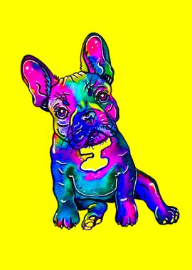 French Bulldog on Yellow