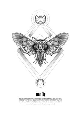 moth 1 black