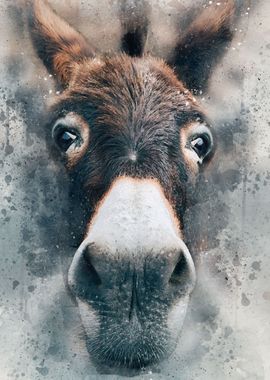 Donkey