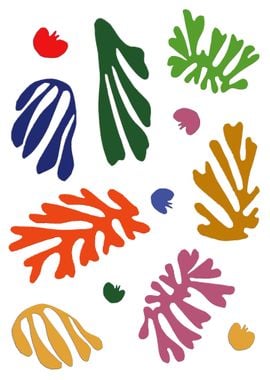 Matisse #1