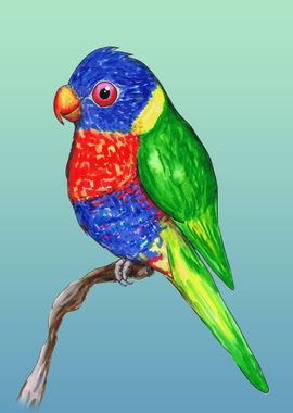 Cute rainbow lorikeet