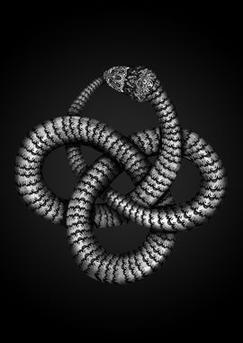 Ouroboros  Celtic Knot