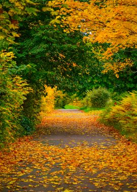 Autumn Path