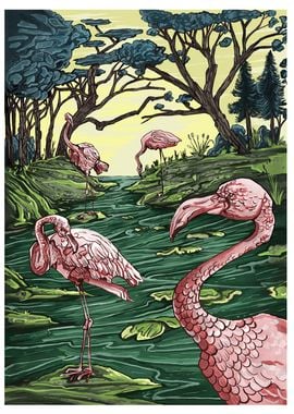 Flamingos