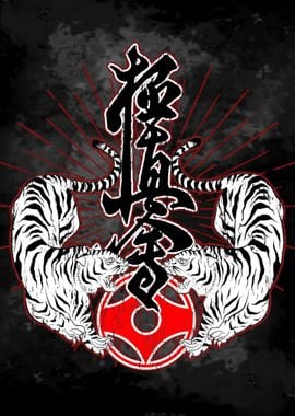 Kyokushin Karate Art