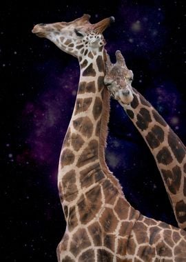 Giraffe bond