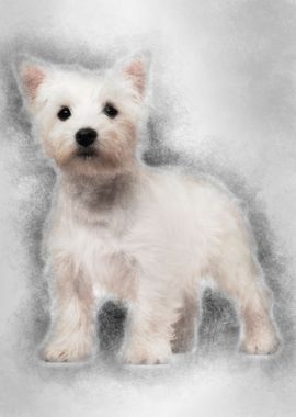 West Highland Terrier pupp