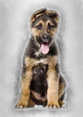 German Shepherd puppy 3 m