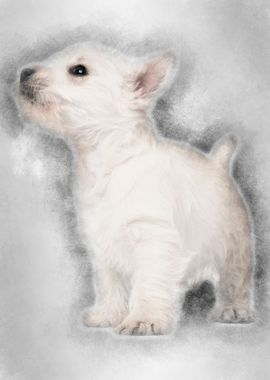 West Highland Terrier pupp