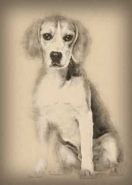 Beagle dog in portrait aga