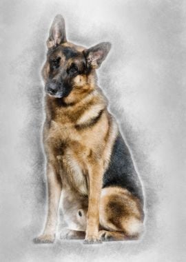 German Shepherd dog sittin