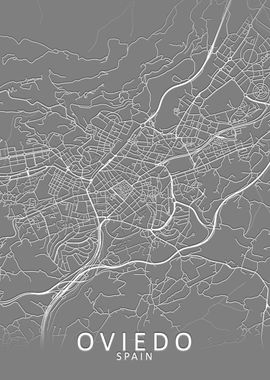 Oviedo Grey City Map