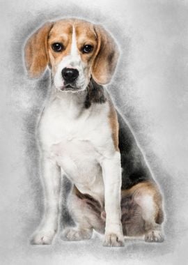 Beagle dog in portrait aga