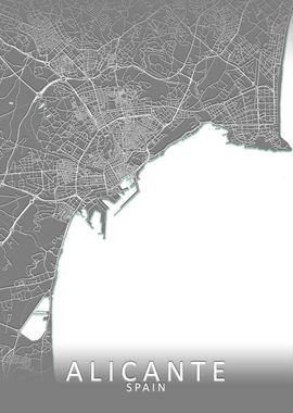 Alicante Grey City Map