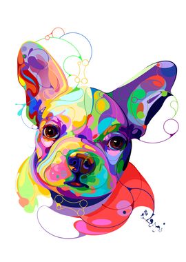 French Bulldog