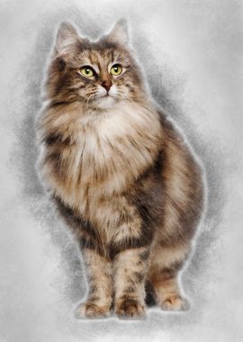 Norwegian Forest Cat 1 and