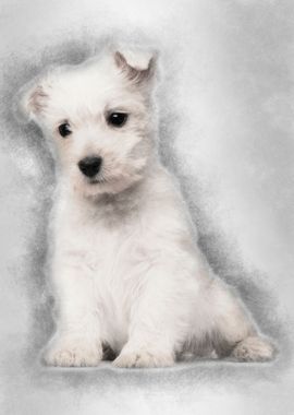 West Highland Terrier pupp