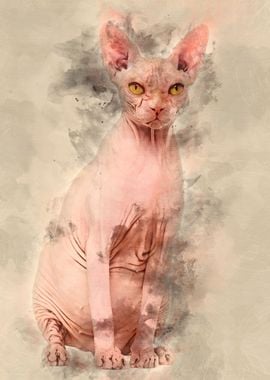 Sphynx 4 years old against