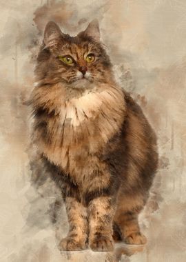 Norwegian Forest Cat 1 and