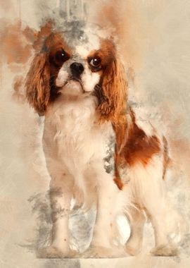 Cavalier King Charles Span