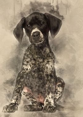 German Shorthaired Pointer