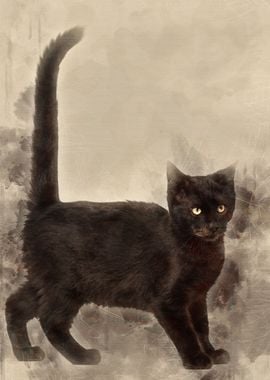 Mixedbreed black cat agai