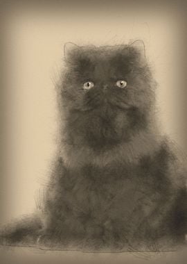 Portrait of Persian cat 7 