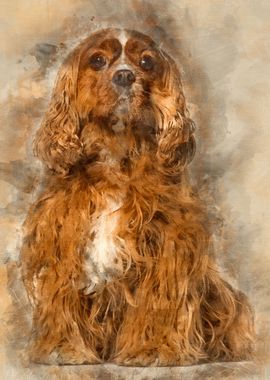 Cavalier King Charles Span