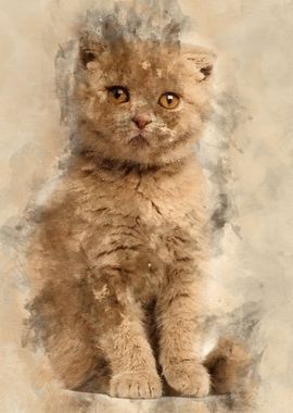 Portrait of Scottish Fold 