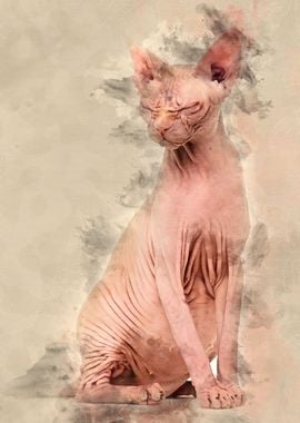 Sphynx 4 years old against