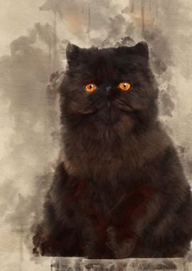 Portrait of Persian cat 7