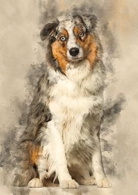 Australian Shepherd dog si