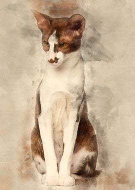 Oriental Shorthair sitting