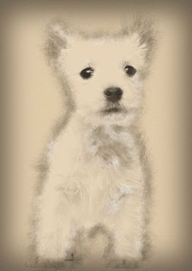 West Highland Terrier pupp