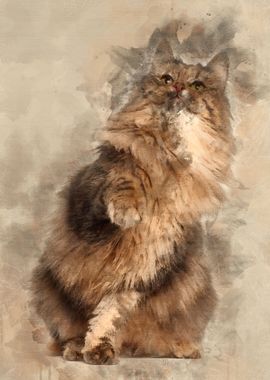 Norwegian Forest Cat 1 and