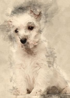 West Highland Terrier pupp