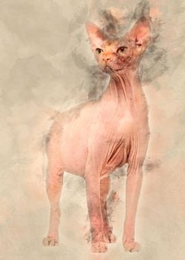 Sphynx 4 years old against