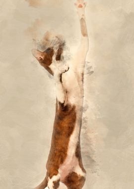 Oriental Shorthair standin