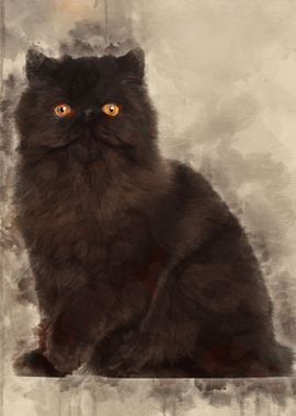 Portrait of Persian cat 7