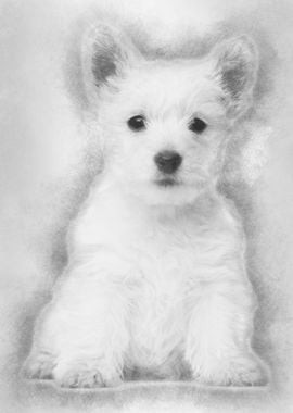 West Highland Terrier pupp