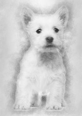 West Highland Terrier pupp