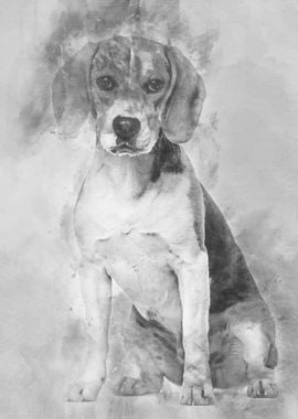 Beagle dog in portrait aga