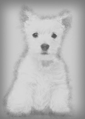 West Highland Terrier pupp