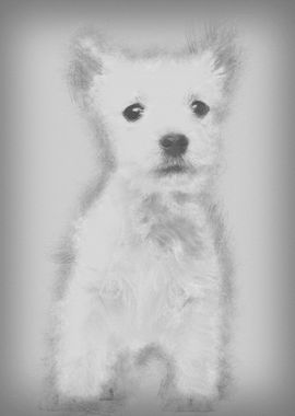 West Highland Terrier pupp