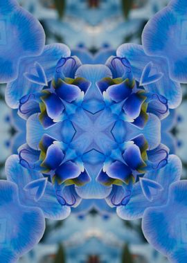 stylized blue pattern 