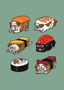 Sushi English Bulldog