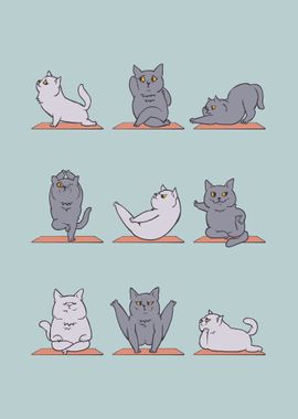 British Shorthair Cat Yoga