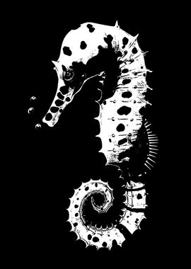 Seahorse