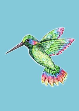 Hummingbird