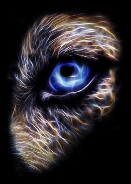 Wolf Eye